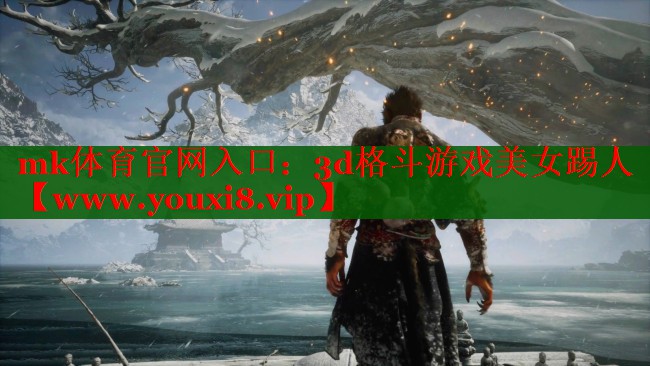 mk体育官网入口：3d格斗游戏美女踢人