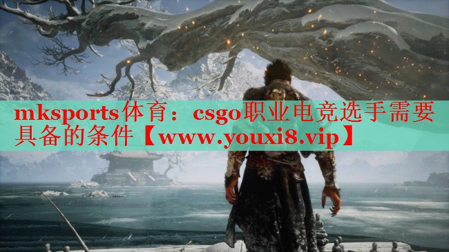 mksports体育：csgo职业电竞选手需要具备的条件